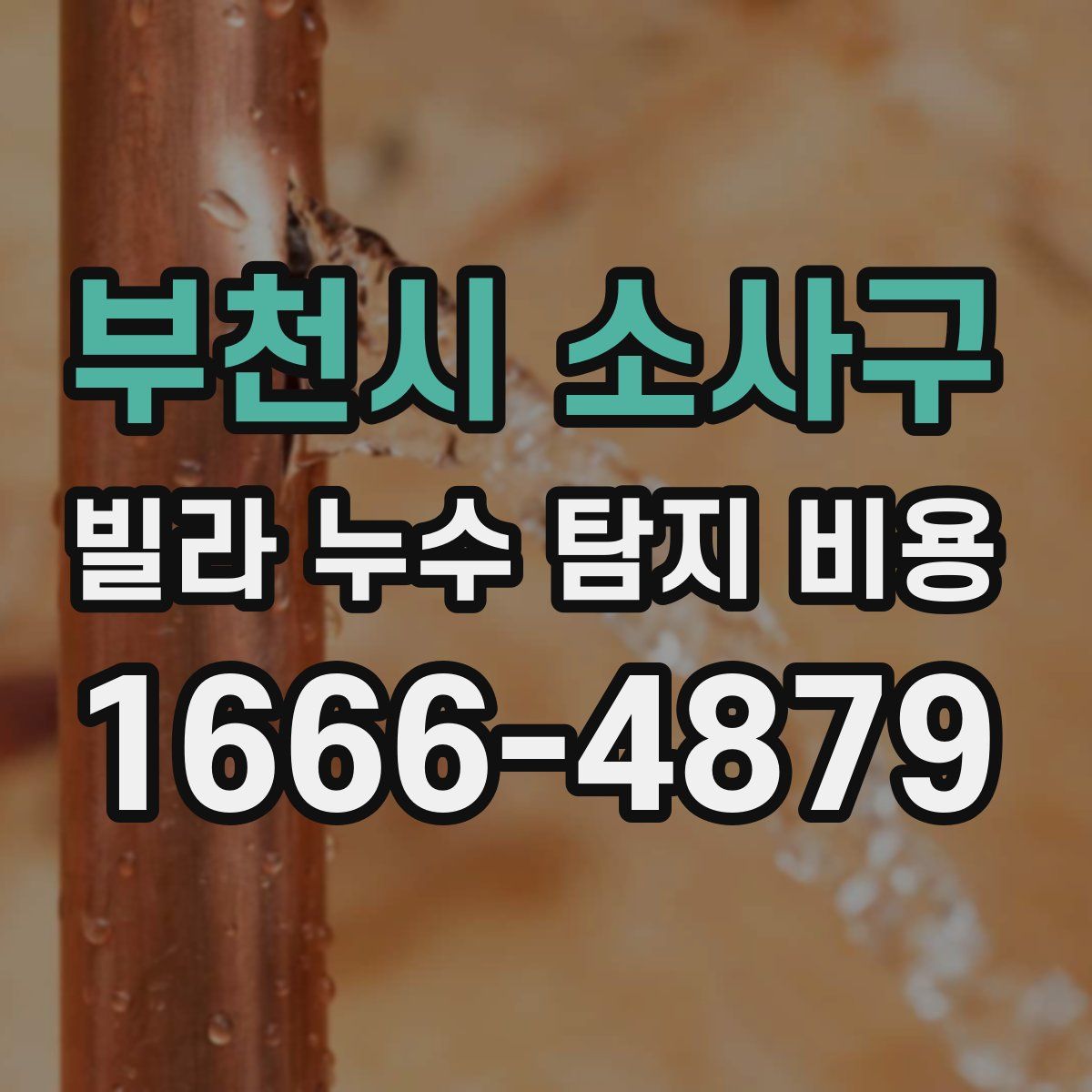 부천시 소사구 빌라 누수 탐지 비용