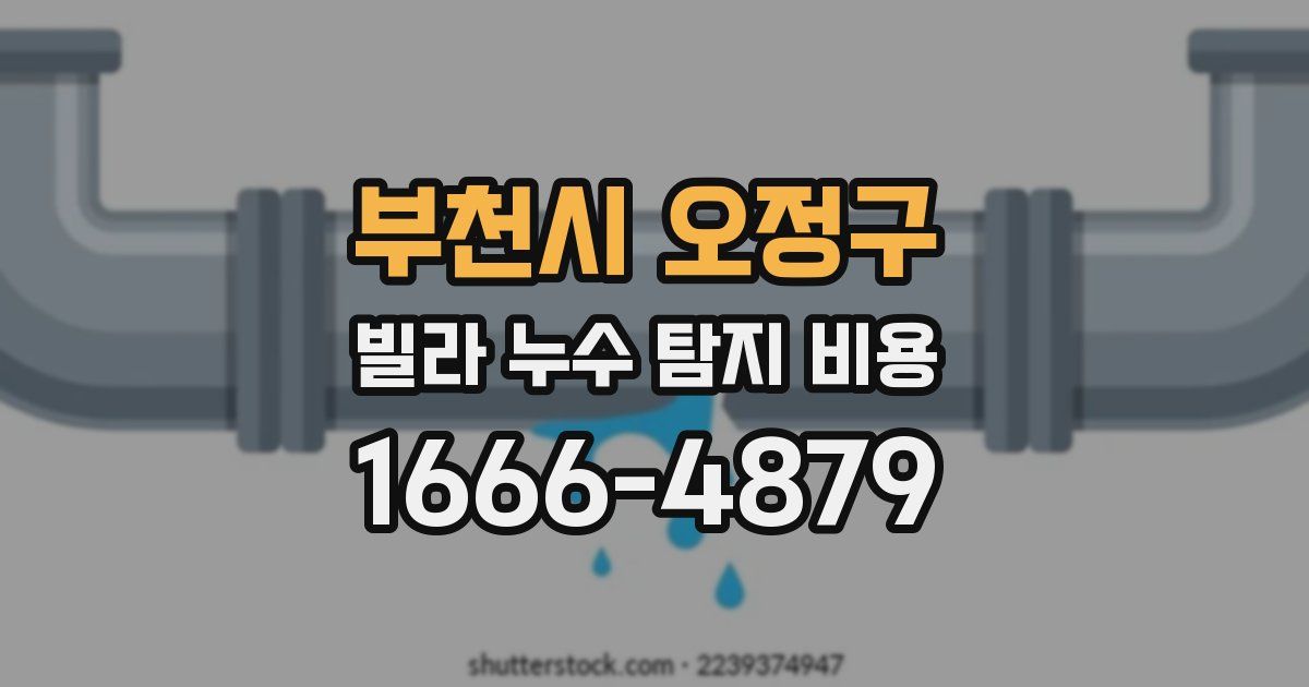 부천시 오정구 빌라 누수 탐지 비용