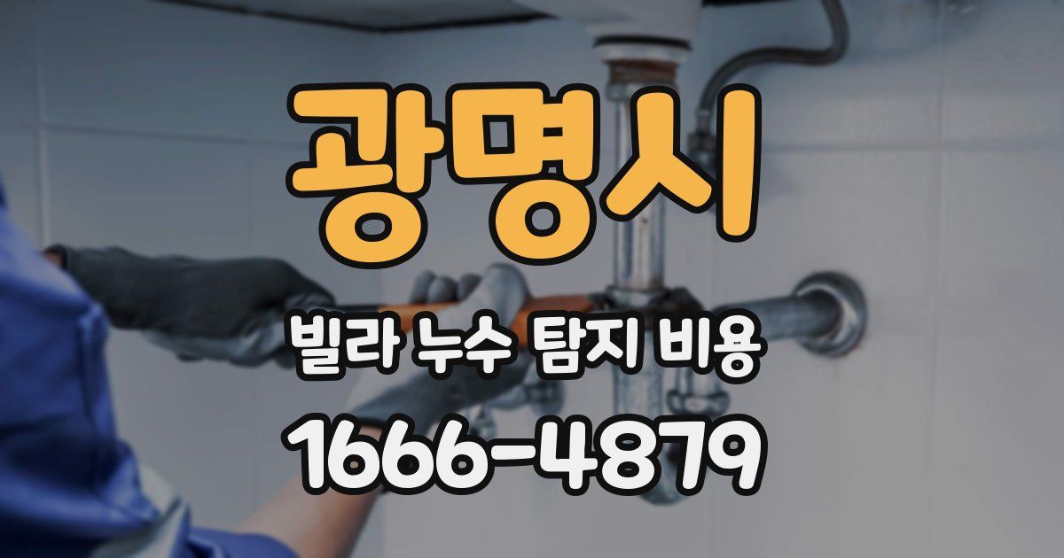 광명시 빌라 누수 탐지 비용