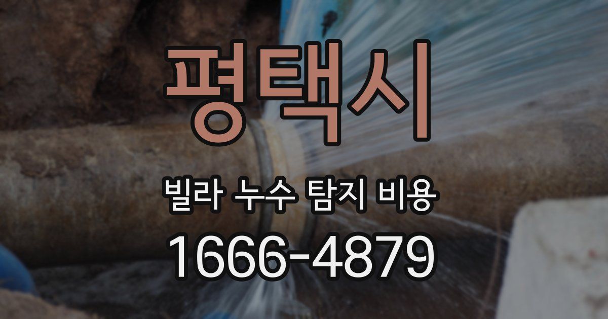 평택시 빌라 누수 탐지 비용