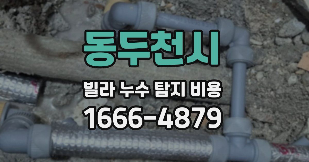 동두천시 빌라 누수 탐지 비용