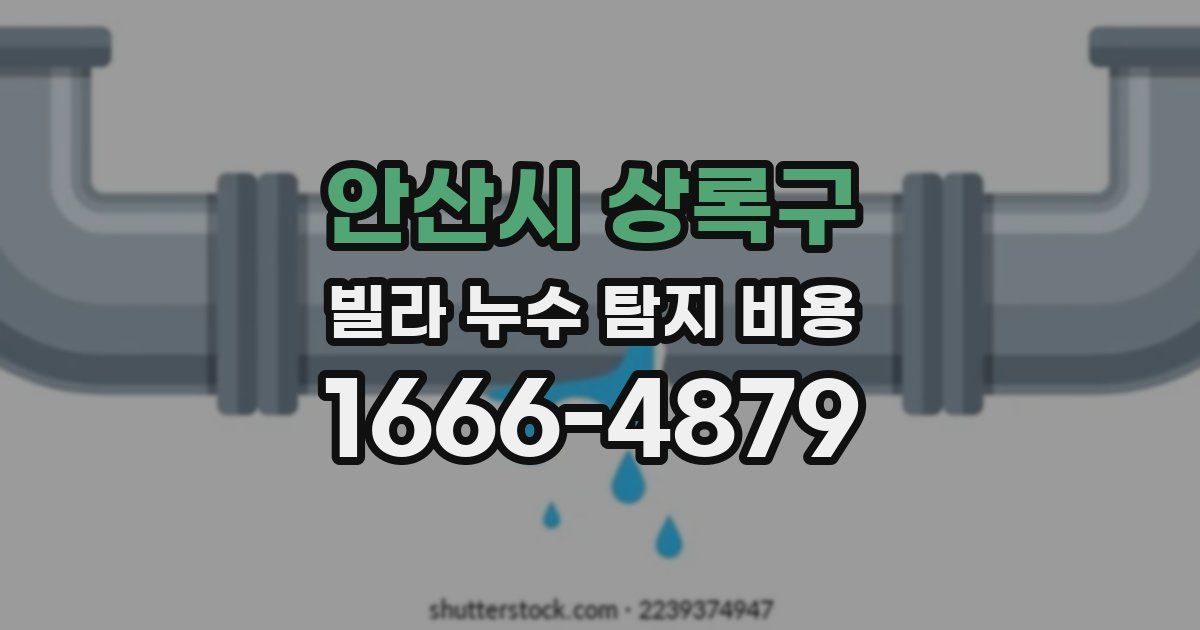 안산시 상록구 빌라 누수 탐지 비용