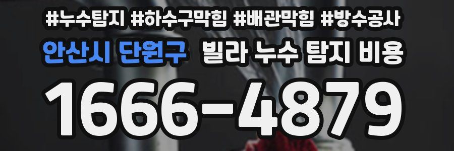 안산시 단원구 빌라 누수 탐지 비용