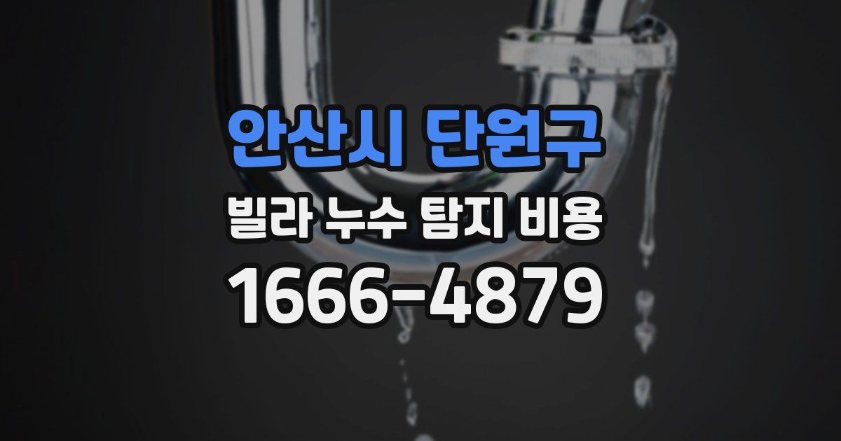 안산시 단원구 빌라 누수 탐지 비용