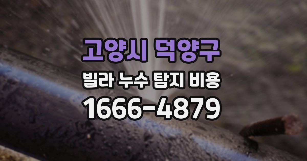 고양시 덕양구 빌라 누수 탐지 비용