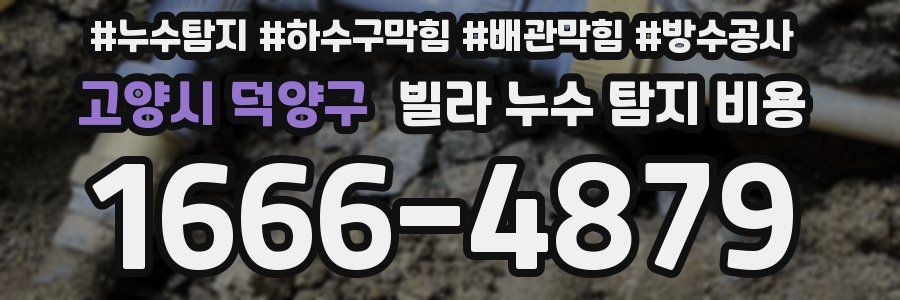 고양시 덕양구 빌라 누수 탐지 비용