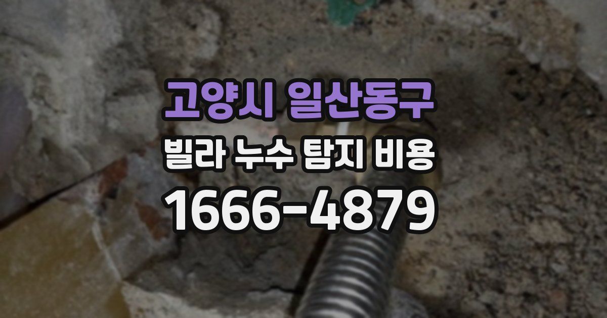 고양시 일산동구 빌라 누수 탐지 비용