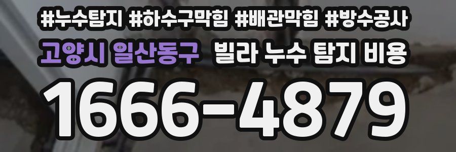 고양시 일산동구 빌라 누수 탐지 비용