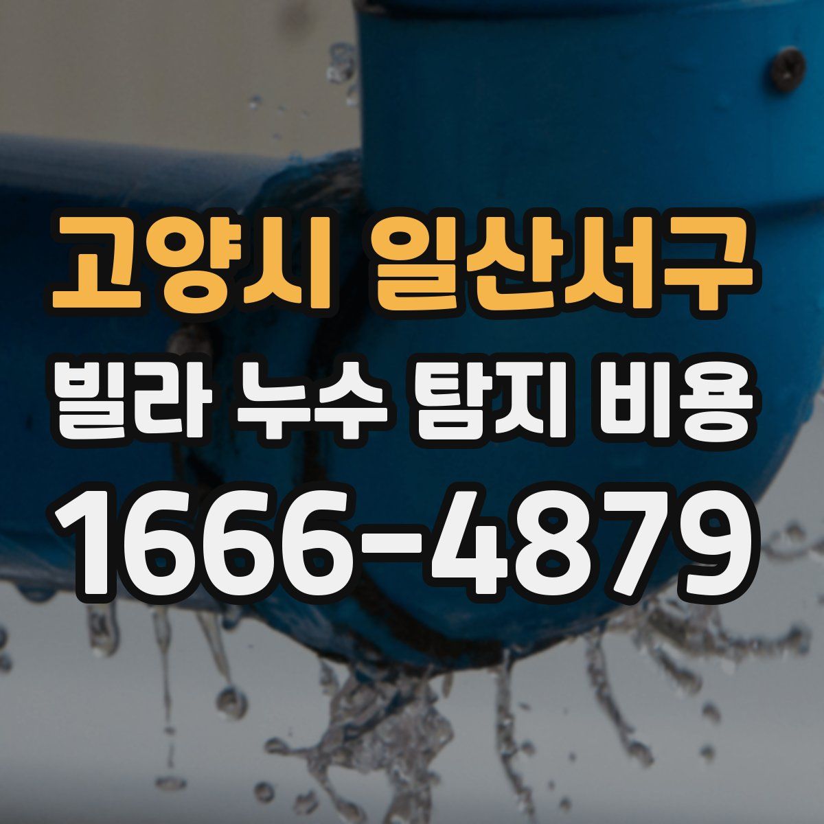 고양시 일산서구 빌라 누수 탐지 비용