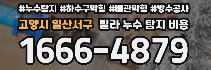 고양시 일산서구 빌라 누수 탐지 비용