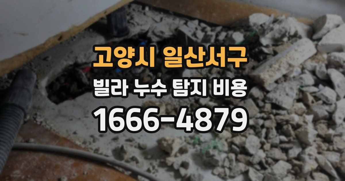 고양시 일산서구 빌라 누수 탐지 비용