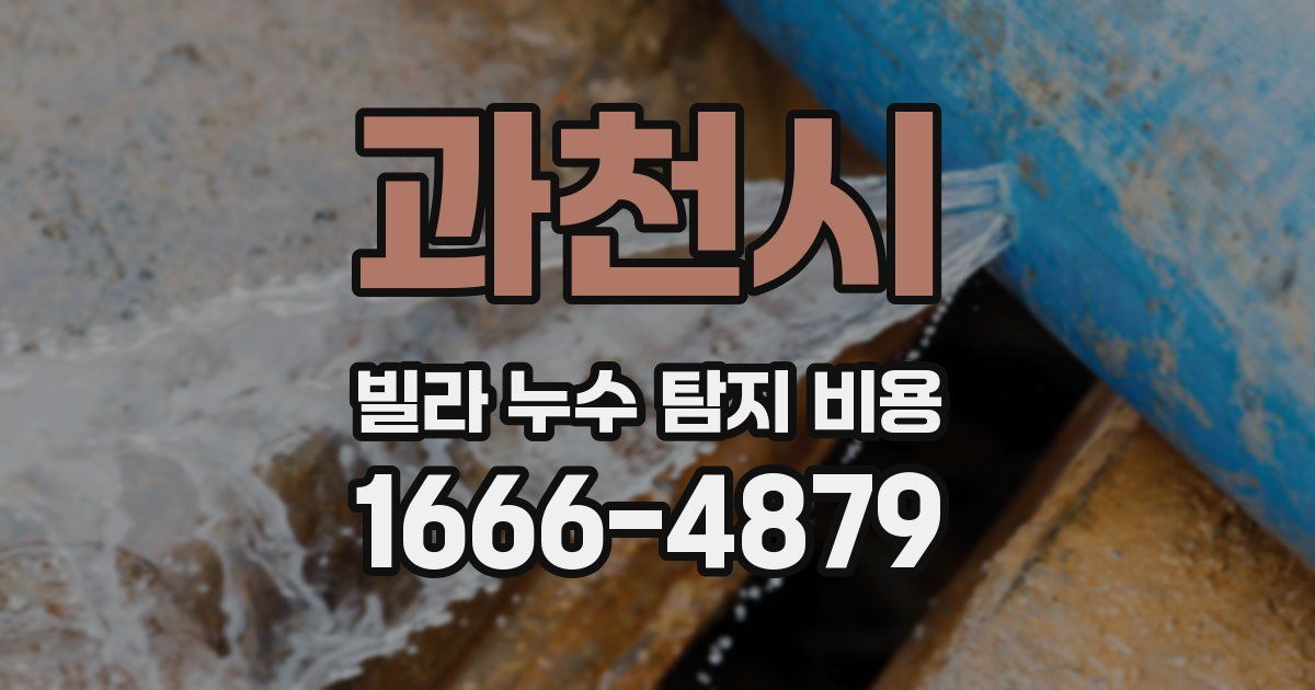 과천시 빌라 누수 탐지 비용