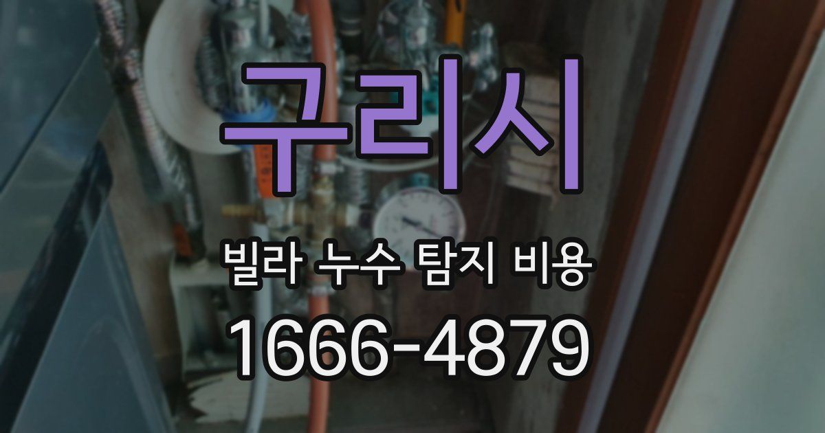 구리시 빌라 누수 탐지 비용