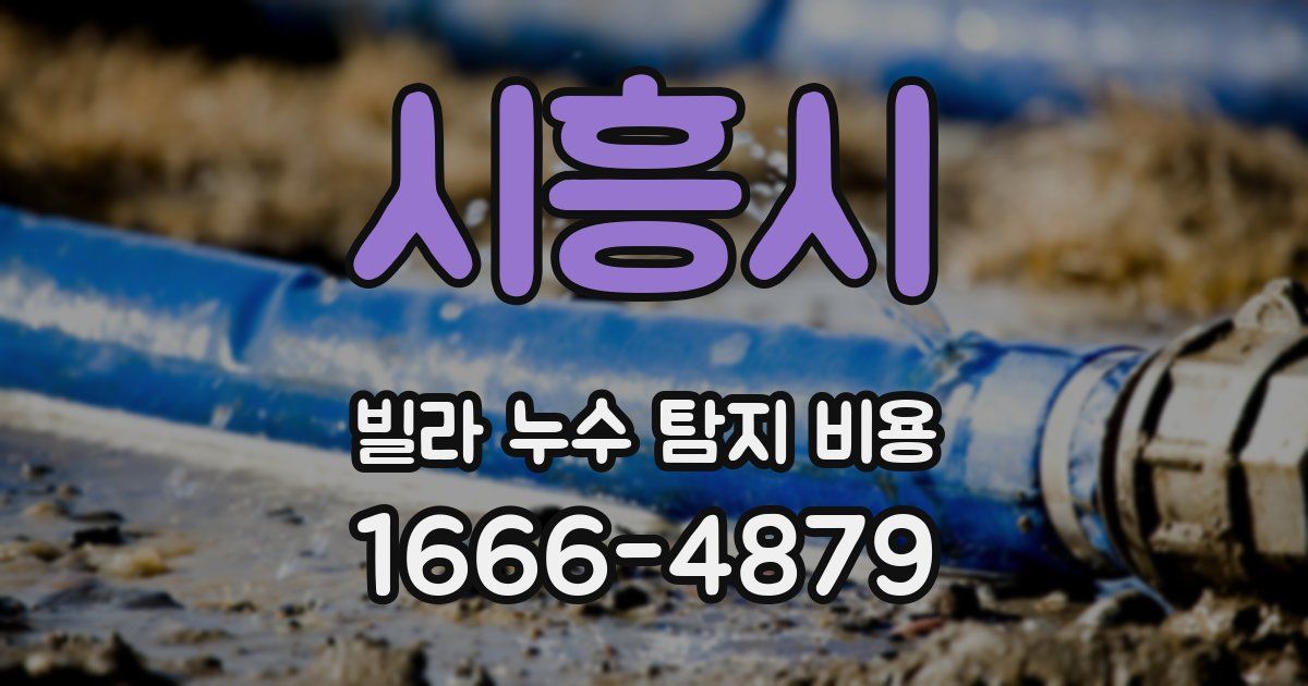 시흥시 빌라 누수 탐지 비용
