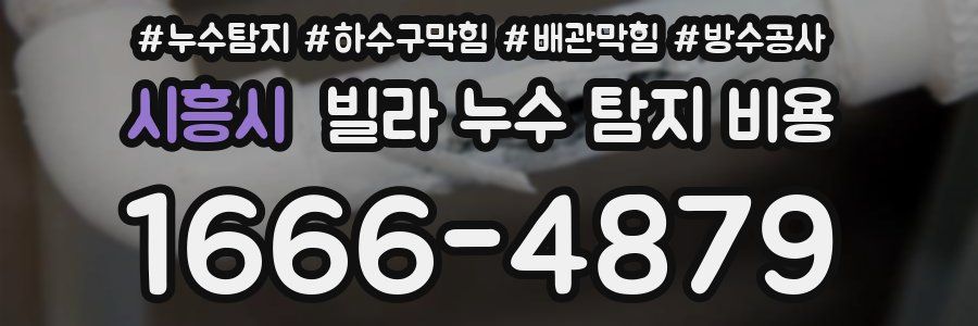 시흥시 빌라 누수 탐지 비용