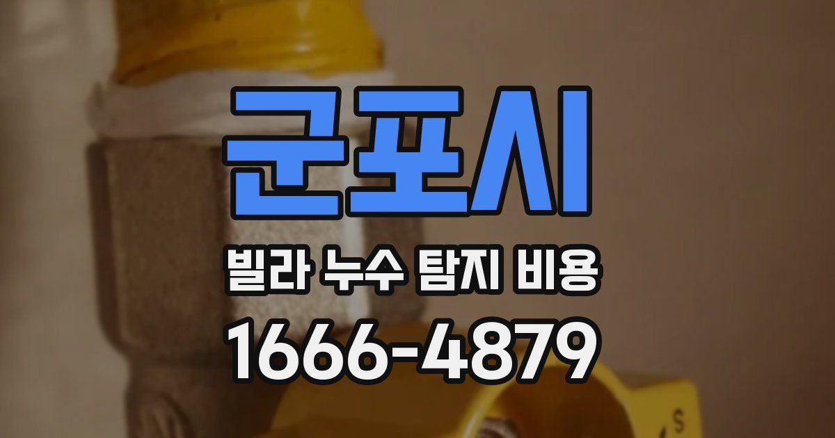 군포시 빌라 누수 탐지 비용