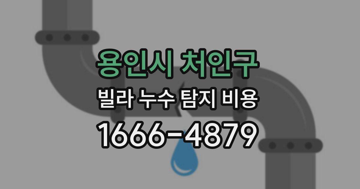 용인시 처인구 빌라 누수 탐지 비용
