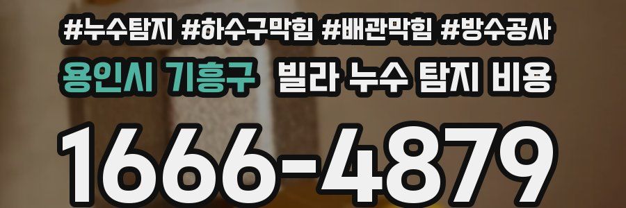 용인시 기흥구 빌라 누수 탐지 비용
