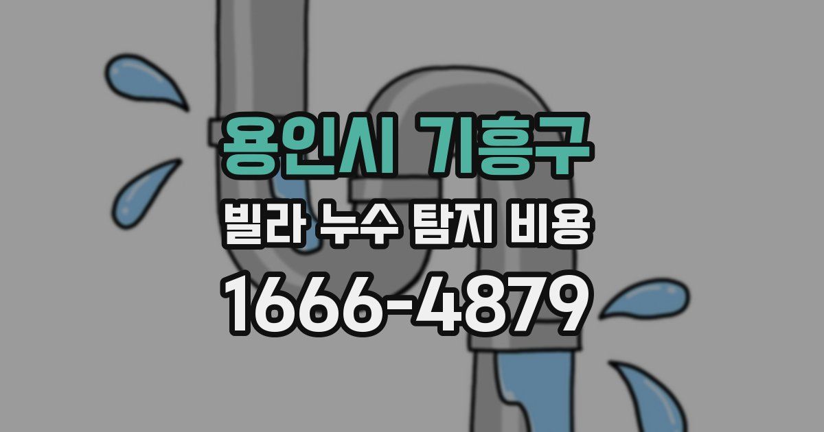 용인시 기흥구 빌라 누수 탐지 비용