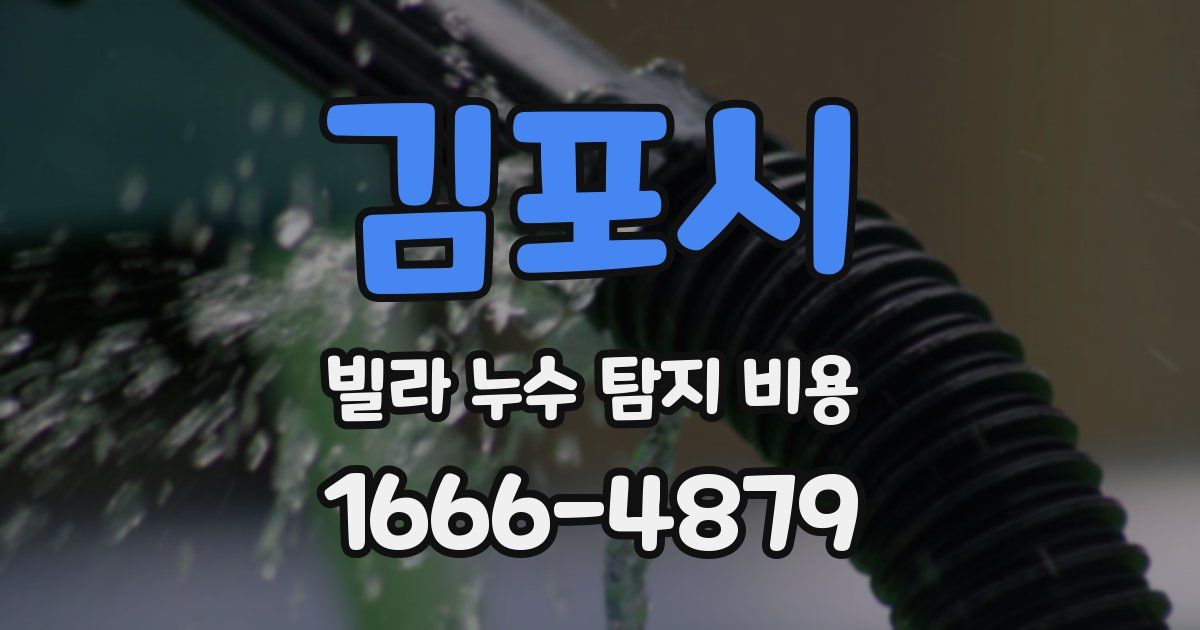 김포시 빌라 누수 탐지 비용
