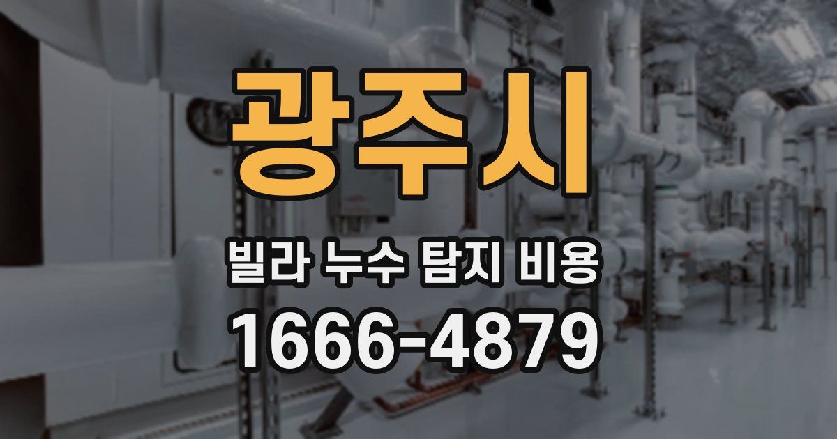 광주시 빌라 누수 탐지 비용