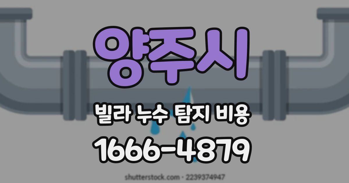 양주시 빌라 누수 탐지 비용