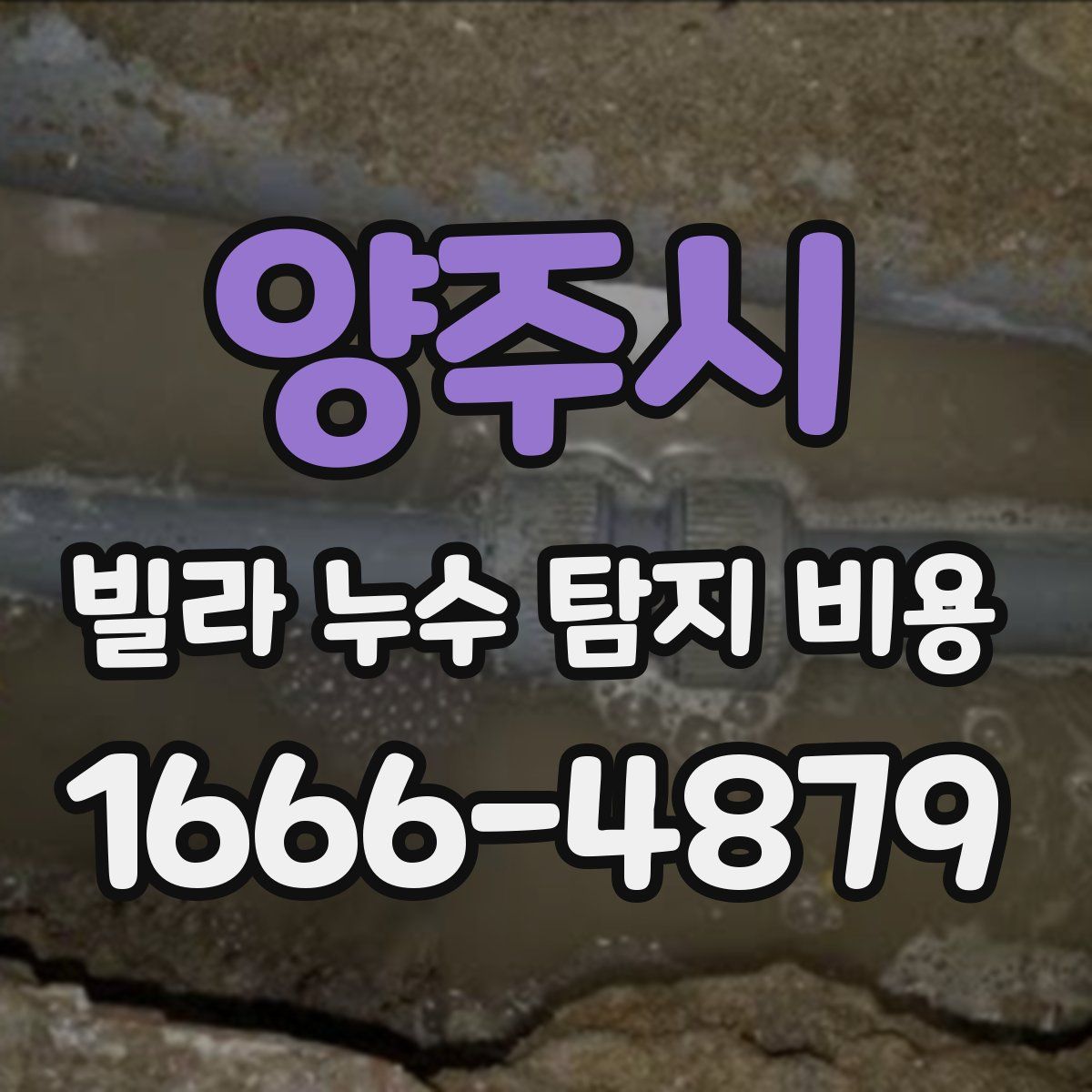 양주시 빌라 누수 탐지 비용
