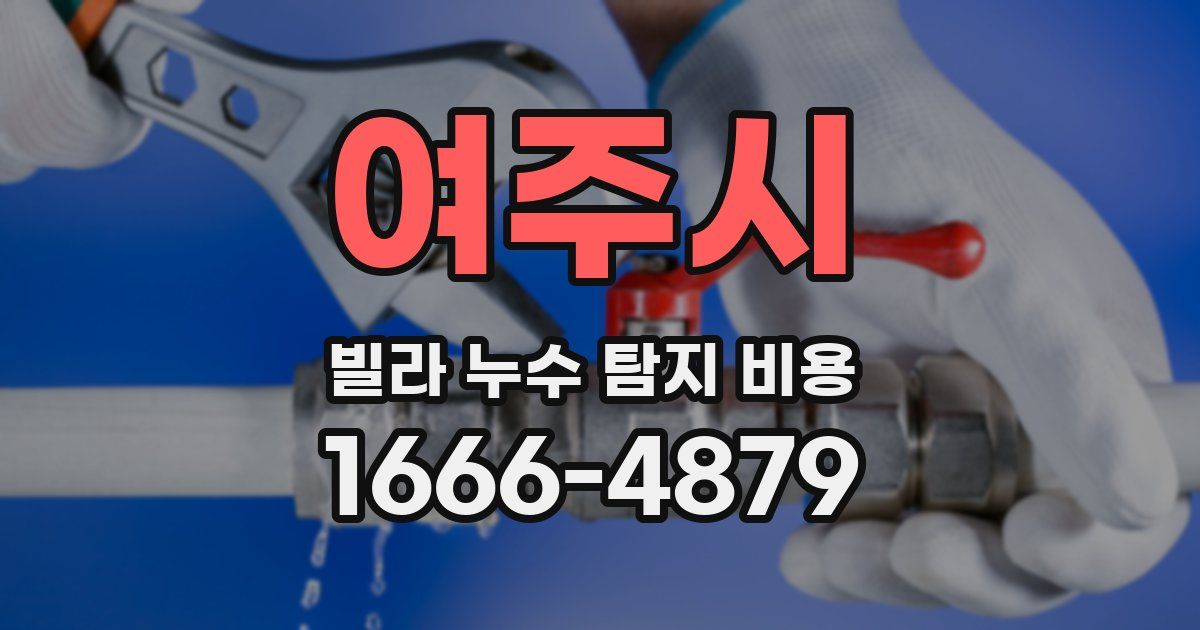 여주시 빌라 누수 탐지 비용