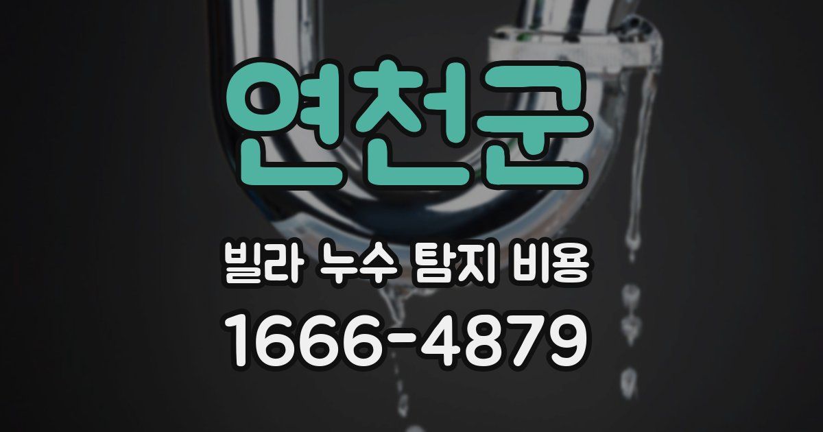 연천군 빌라 누수 탐지 비용