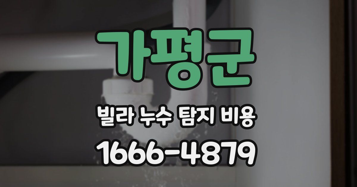 가평군 빌라 누수 탐지 비용
