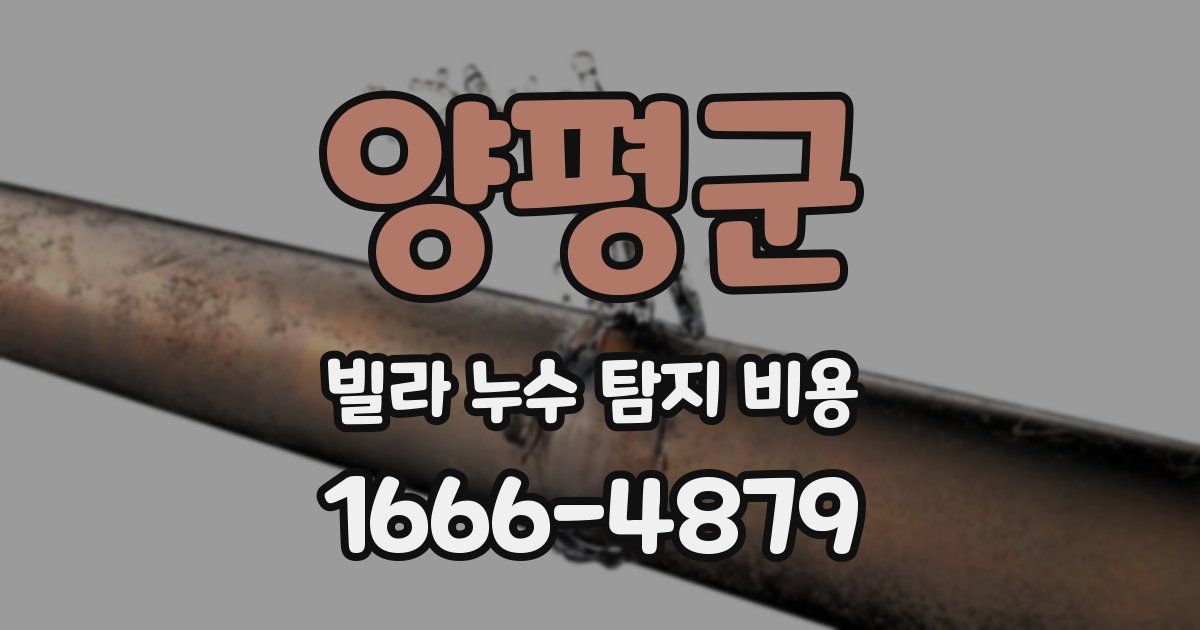 양평군 빌라 누수 탐지 비용