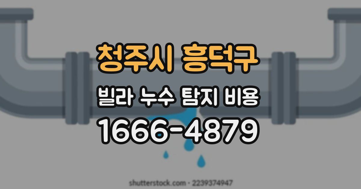 청주시 흥덕구 빌라 누수 탐지 비용