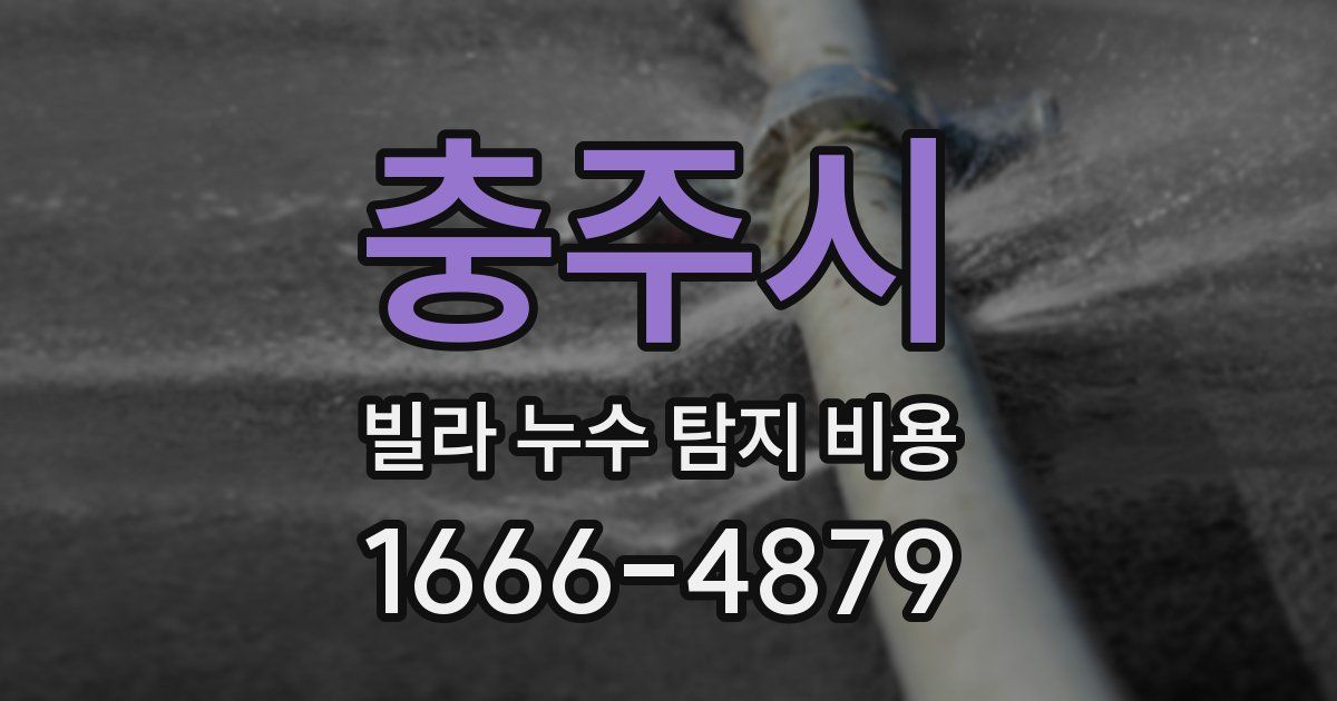 충주시 빌라 누수 탐지 비용