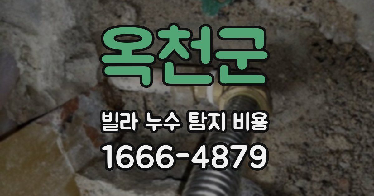 옥천군 빌라 누수 탐지 비용