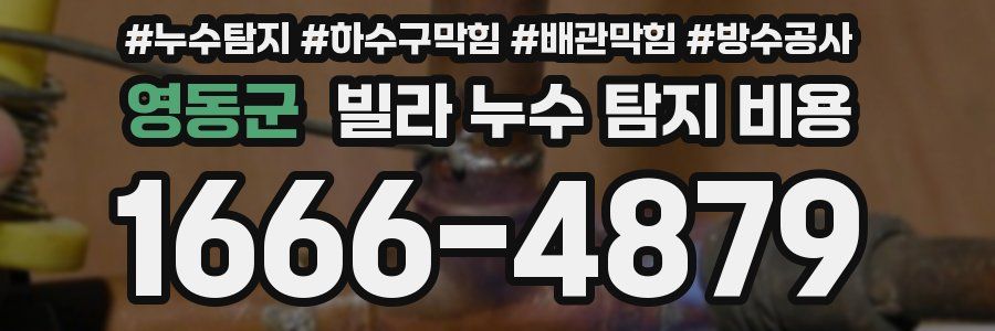 영동군 빌라 누수 탐지 비용