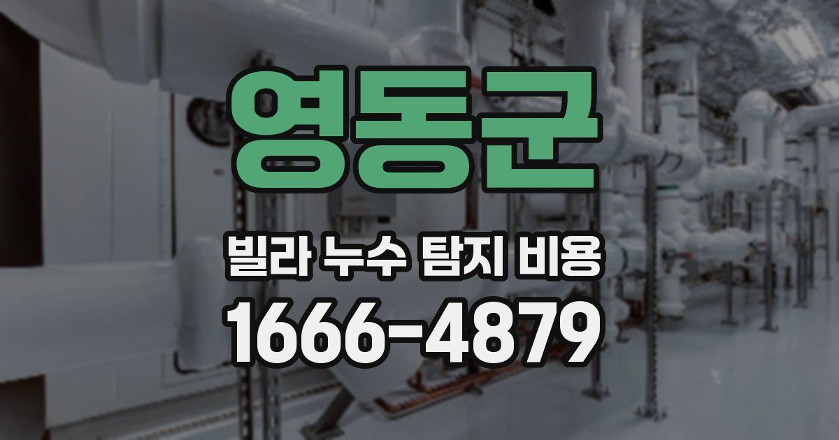 영동군 빌라 누수 탐지 비용