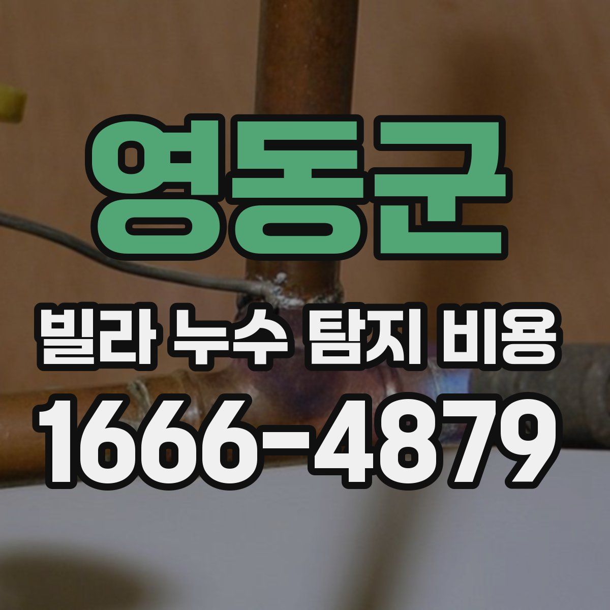 영동군 빌라 누수 탐지 비용