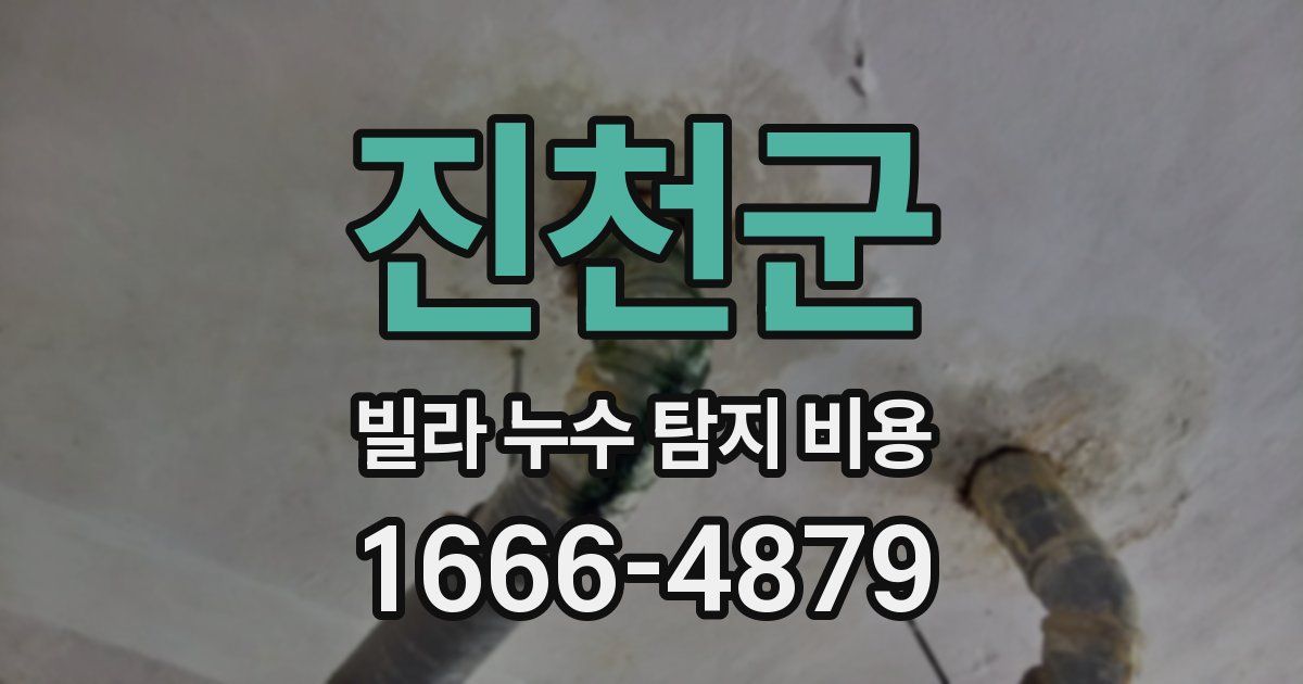진천군 빌라 누수 탐지 비용