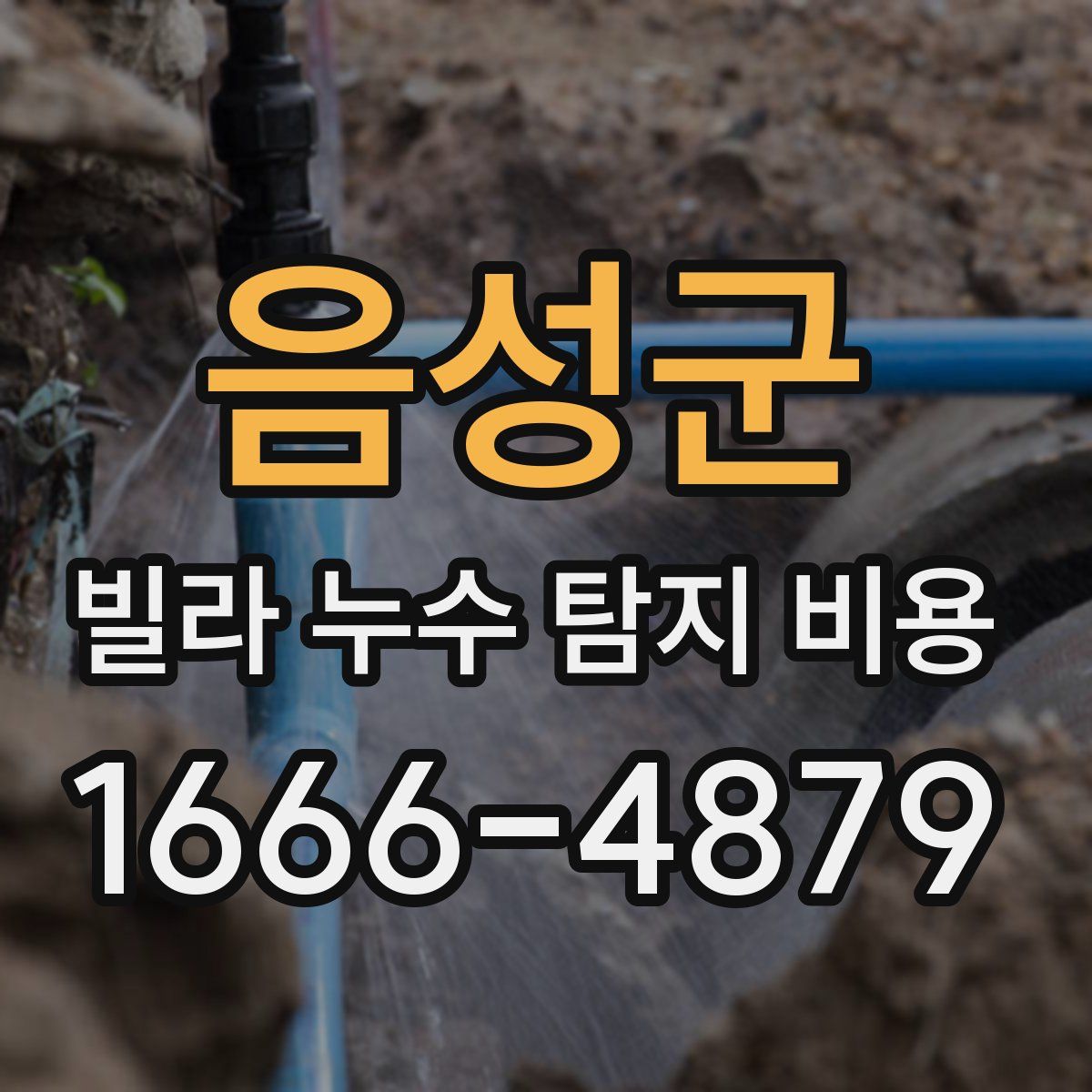 음성군 빌라 누수 탐지 비용