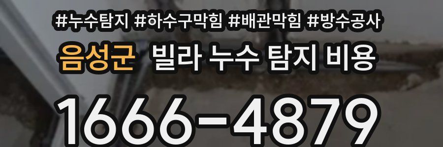 음성군 빌라 누수 탐지 비용