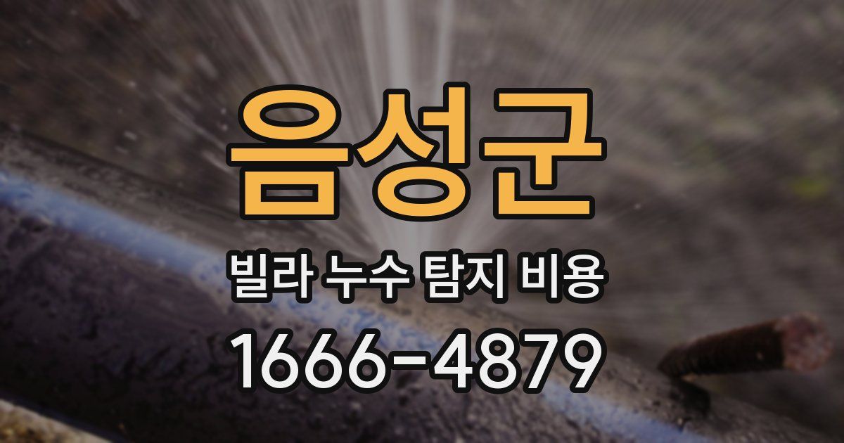 음성군 빌라 누수 탐지 비용