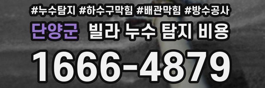 단양군 빌라 누수 탐지 비용