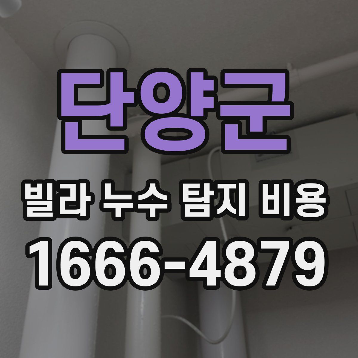 단양군 빌라 누수 탐지 비용