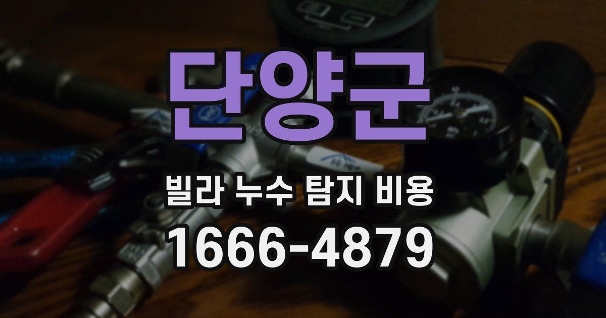 단양군 빌라 누수 탐지 비용