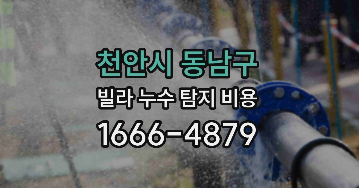천안시 동남구 빌라 누수 탐지 비용