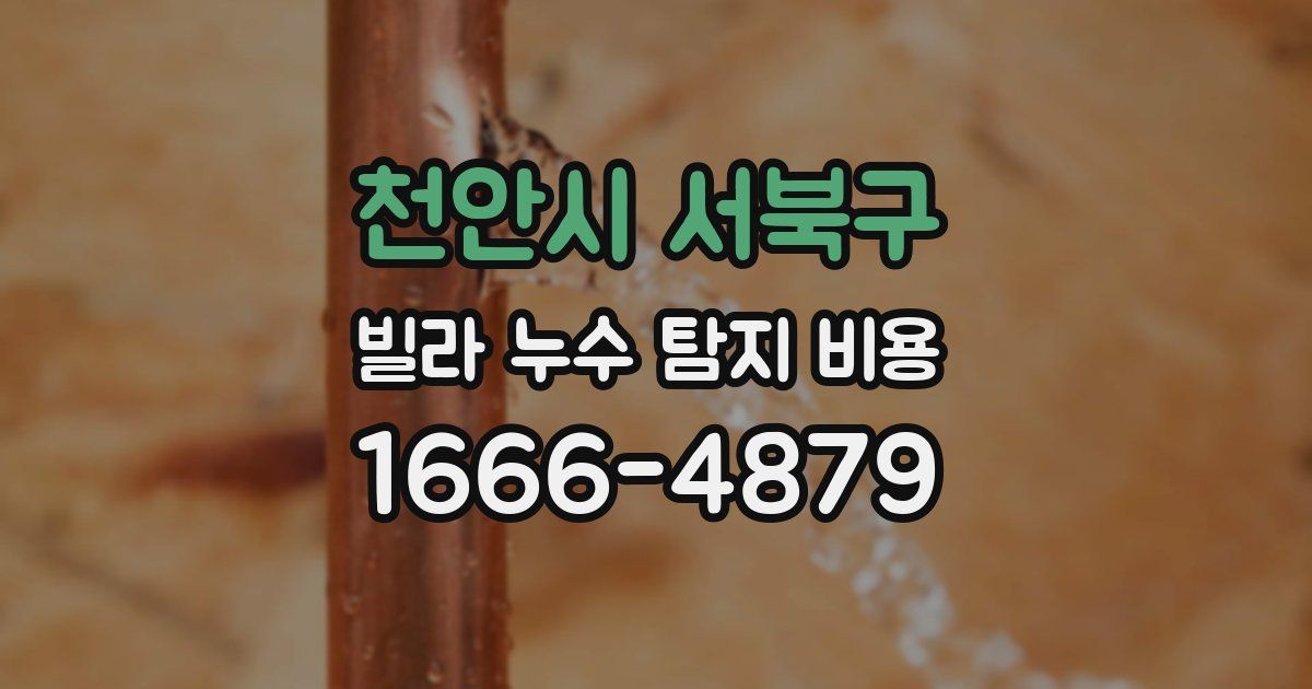 천안시 서북구 빌라 누수 탐지 비용
