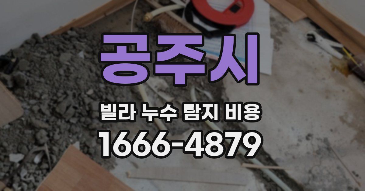공주시 빌라 누수 탐지 비용