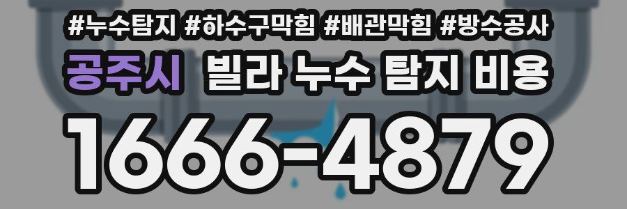 공주시 빌라 누수 탐지 비용