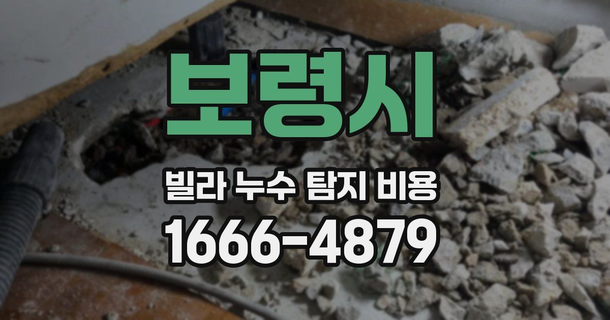 보령시 빌라 누수 탐지 비용