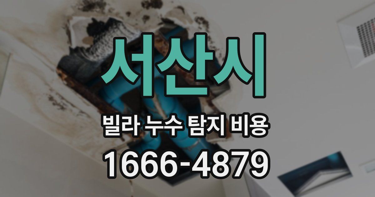 서산시 빌라 누수 탐지 비용